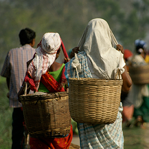 Culture of Assam