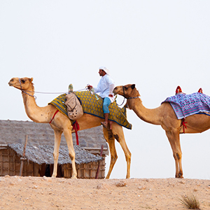 Culture of Dubai